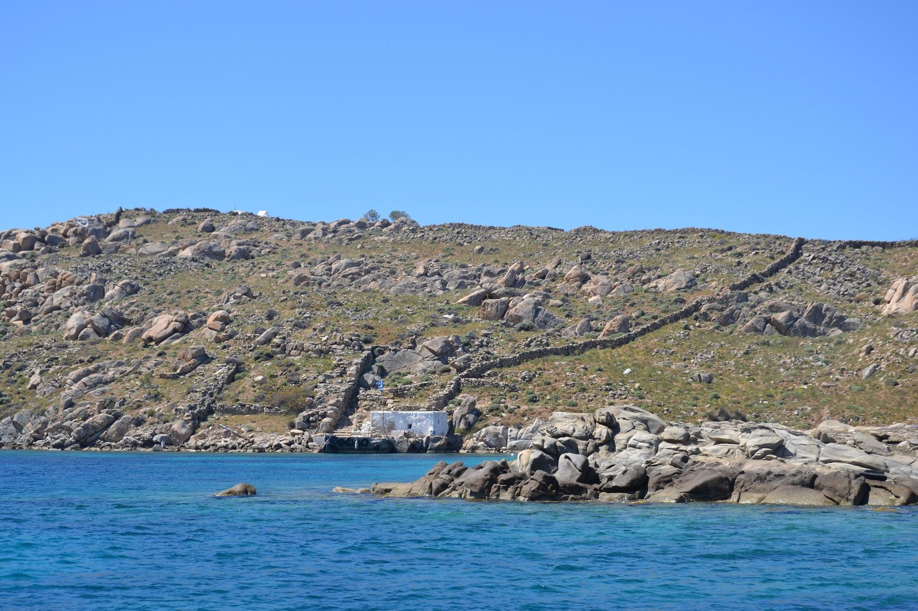 Exploring Posidonia oceanica meadows @ Mykonos